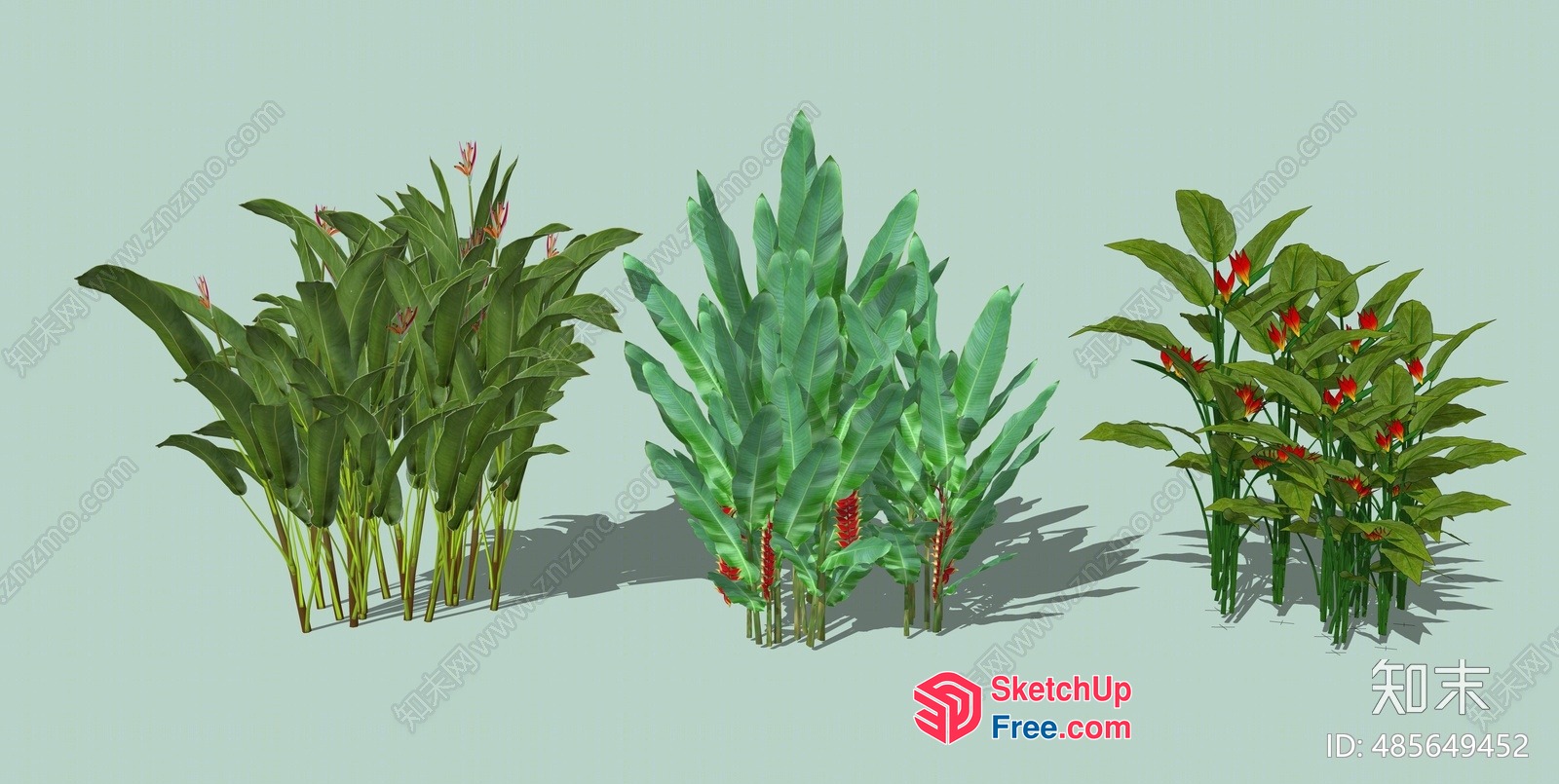 Tropical Plant Arrangement 3D SketchUp File