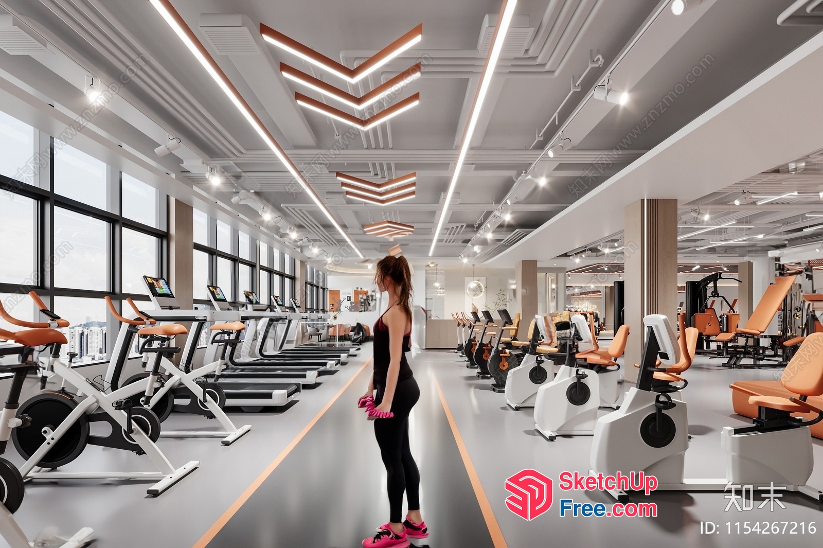Modern Gym Interior With Sleek And Functional Design 3D SketchUp File