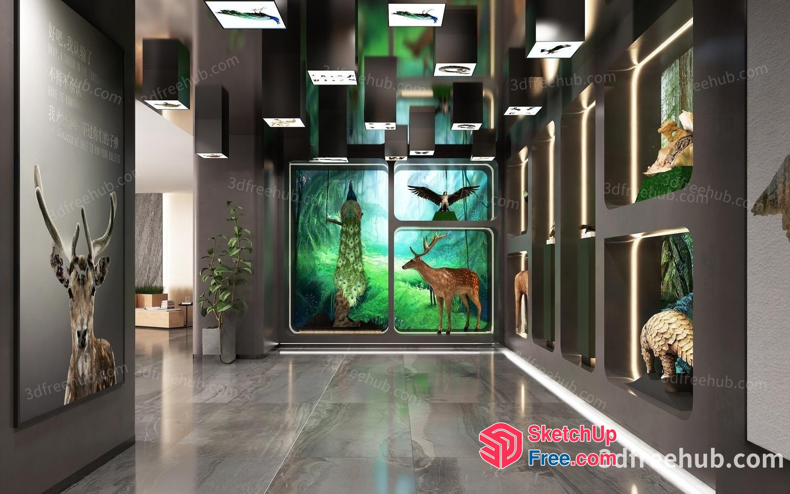 Modern Animal Decorative Wall Art Gallery 3D SketchUp File