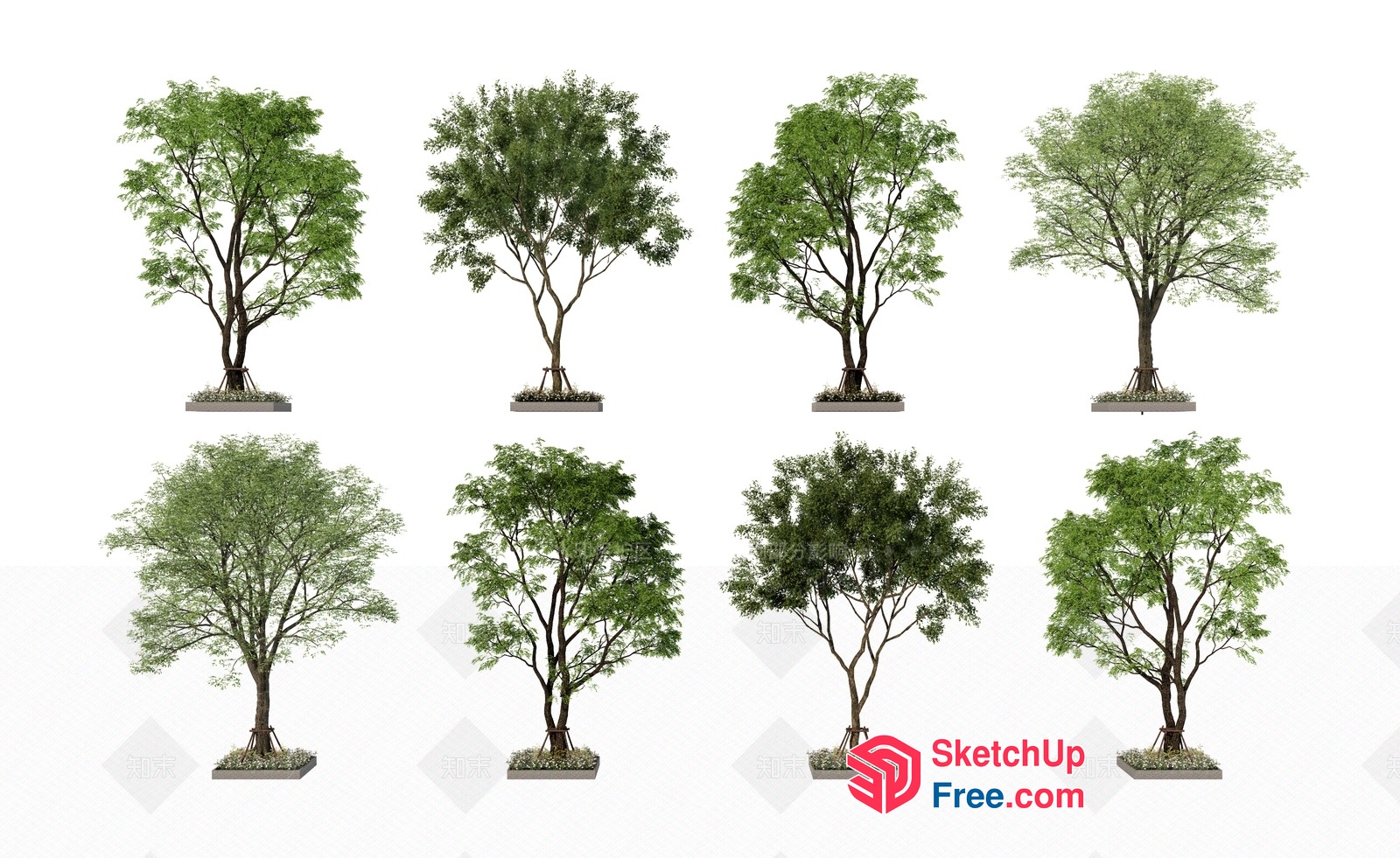 Various Trees 3D SketchUp File