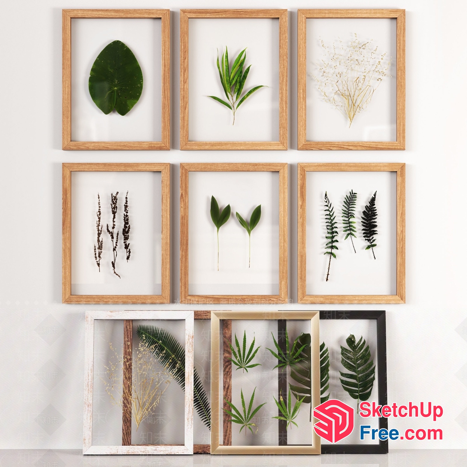 Leafy Wall Art Collection 3D SketchUp File