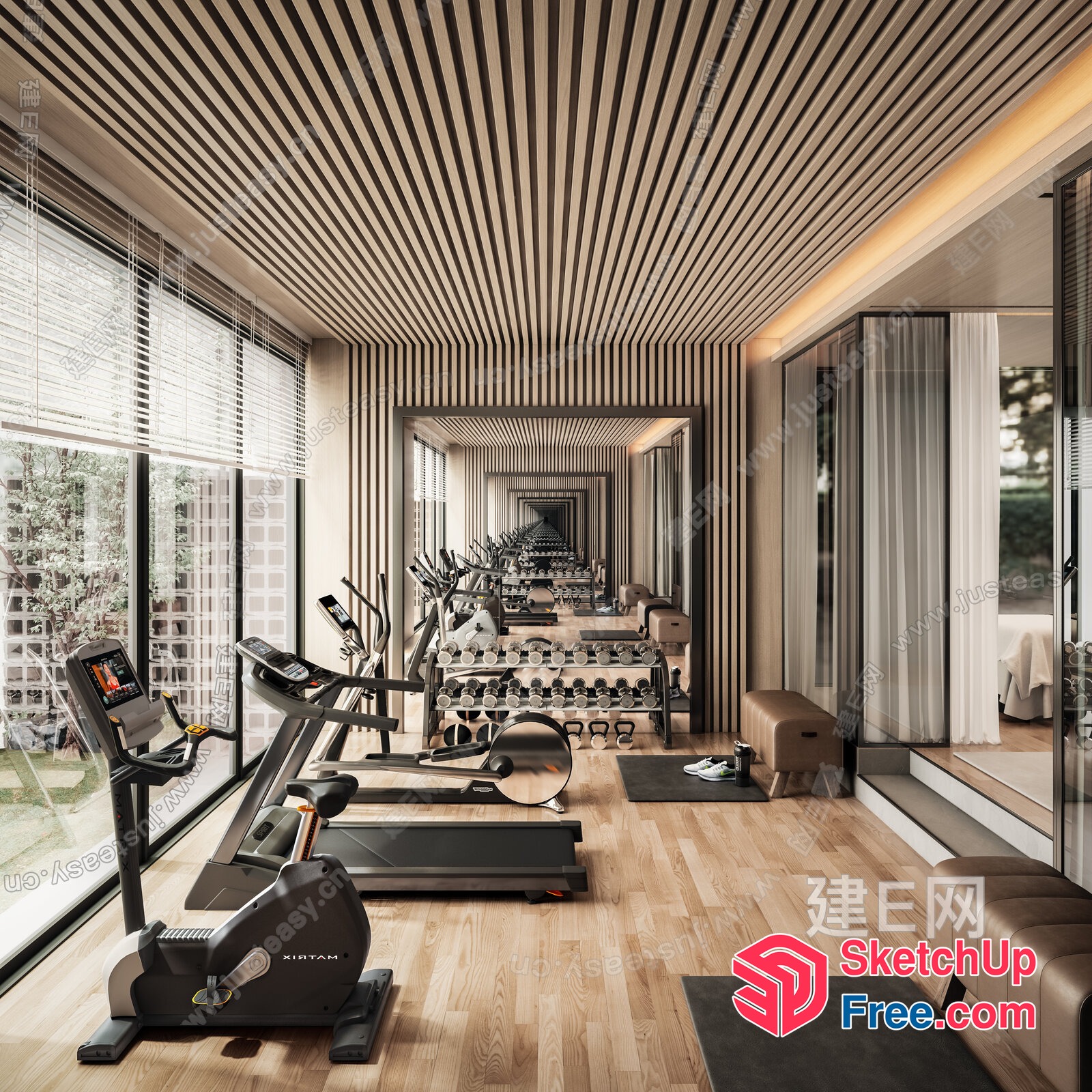 Modern Gym Interior With Natural Light And Wood Accents 3D SketchUp File