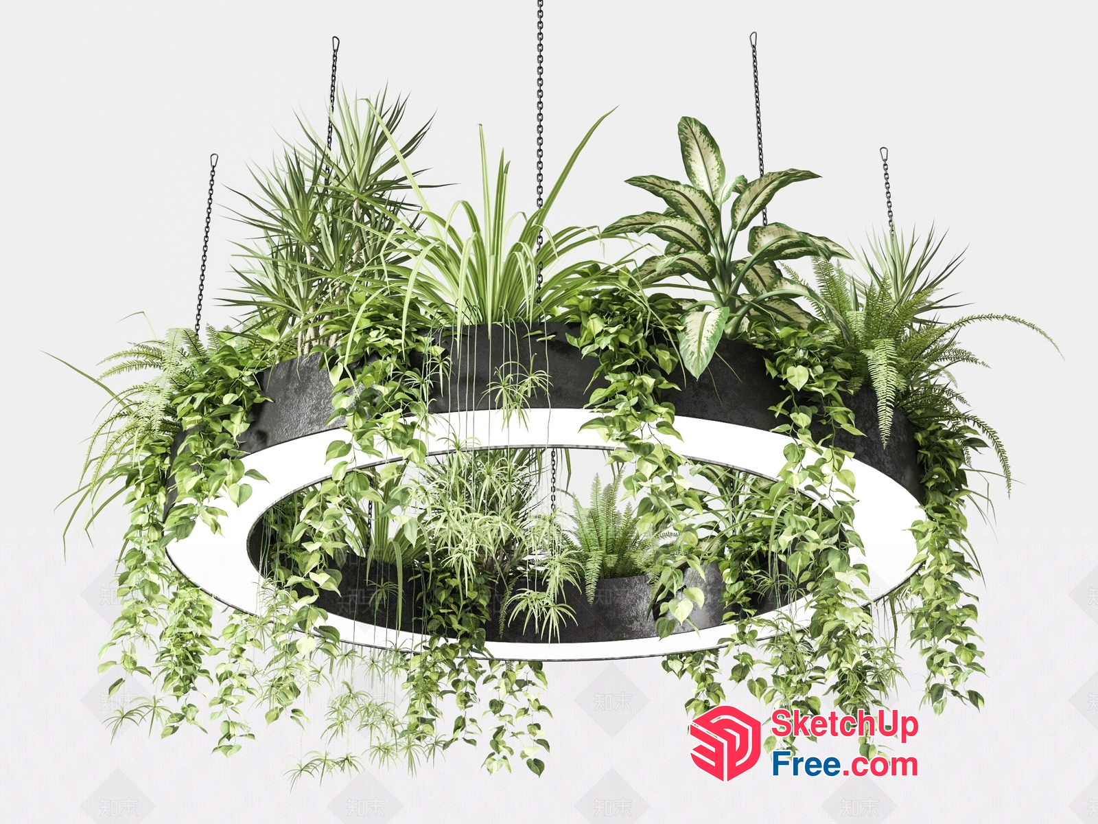 Modern Hanging Planters With Various Greenery 3D SketchUp File