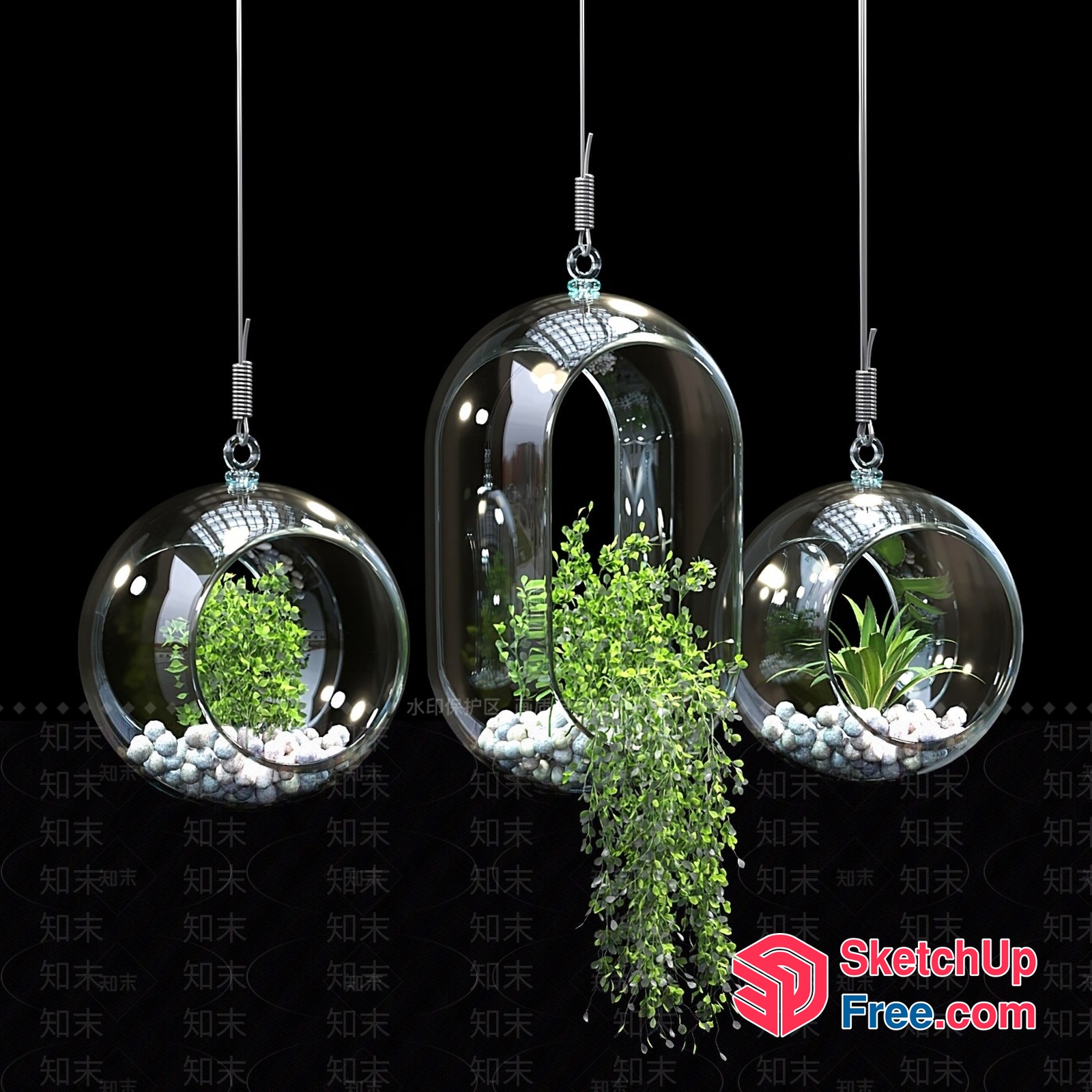 Glass Terrariums With Hanging Plants And White Pebbles 3D SketchUp File