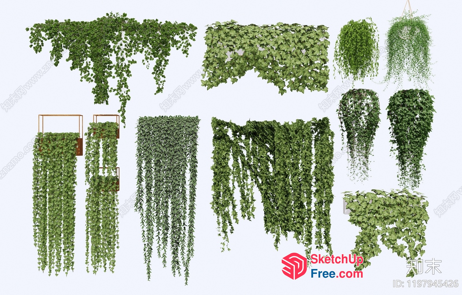 Various Green Plants 3D SketchUp File