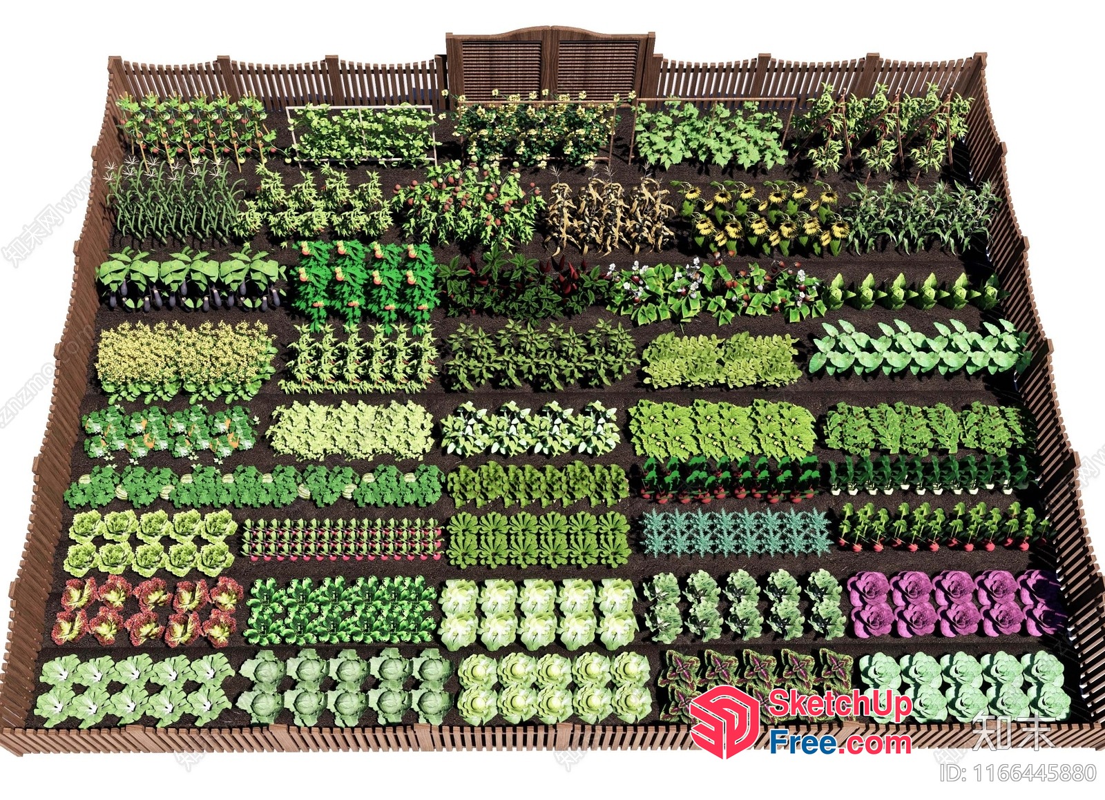 Vegetable Garden With Various Crops 3D SketchUp File