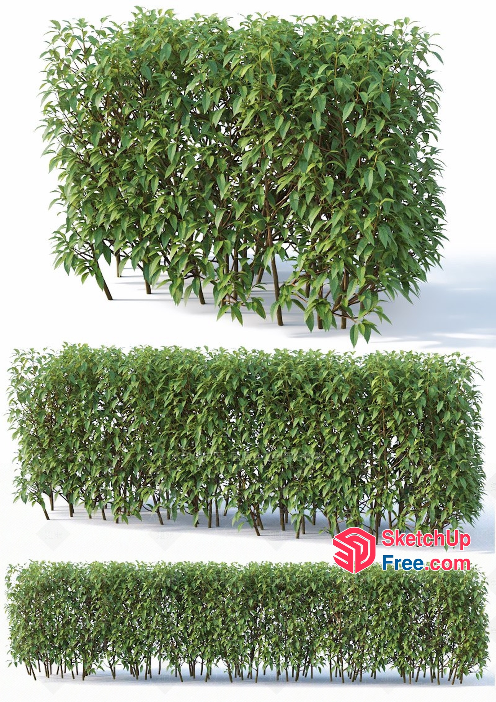 Greenery Wall Decor 3D SketchUp File