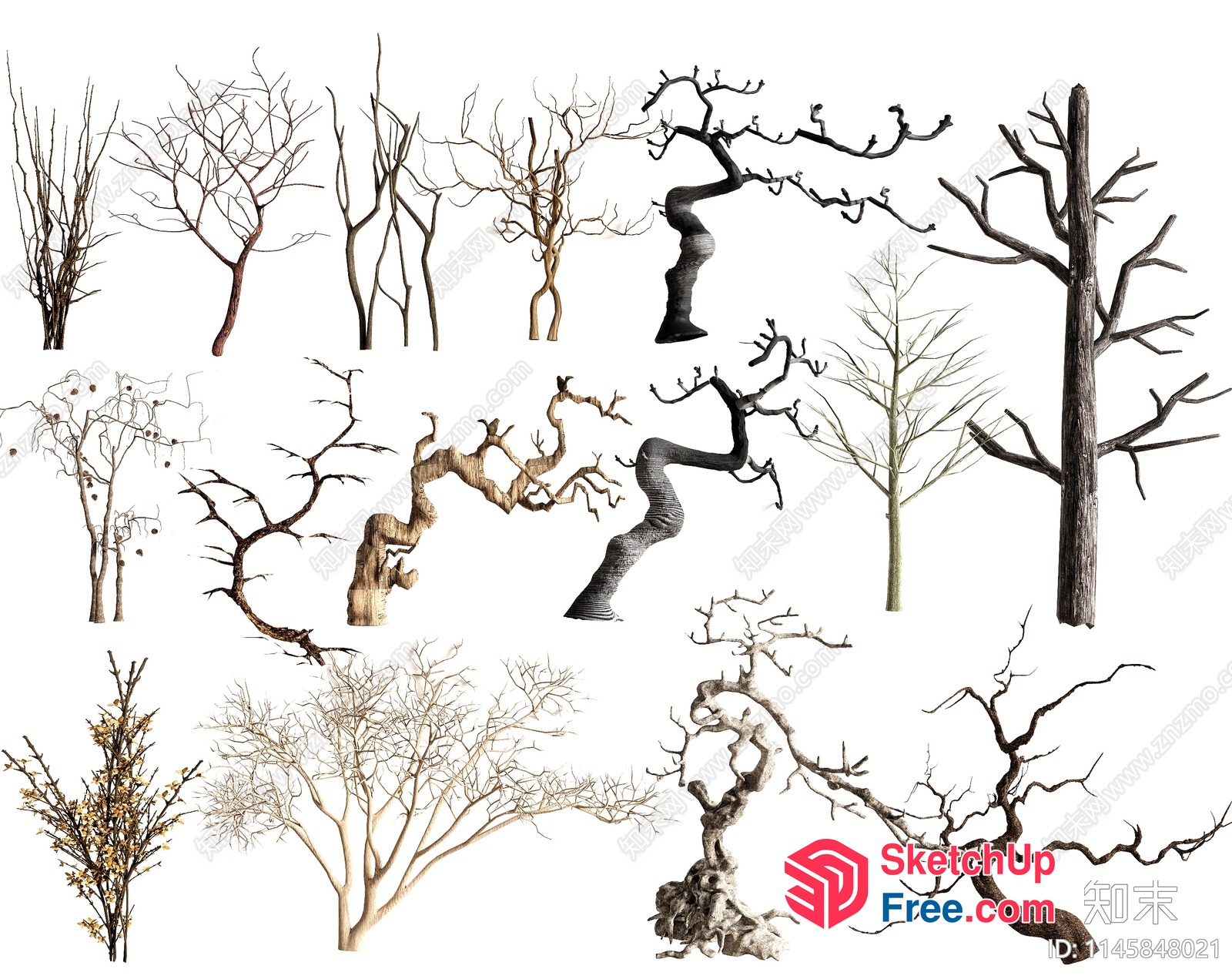 Aesthetic Tree Branches In Neutral Tones 3D SketchUp File