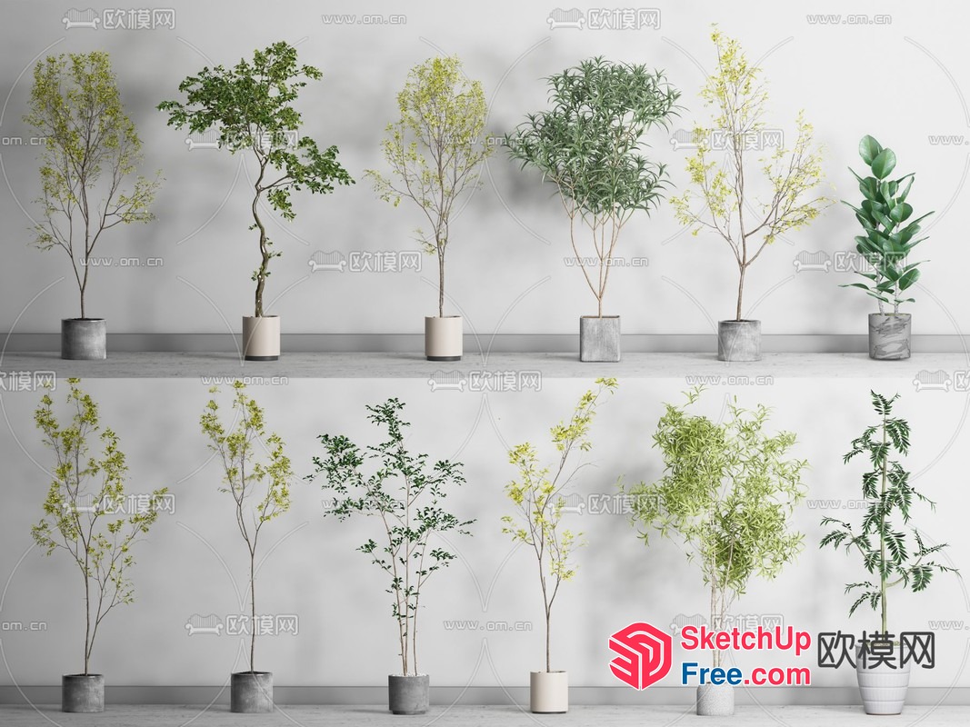 Potted Plants Collection 3D SketchUp File