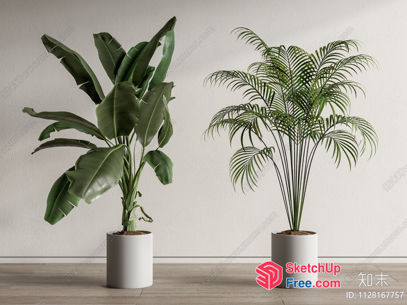 Two Potted Plants In A Neutral Room Interior 3D SketchUp File