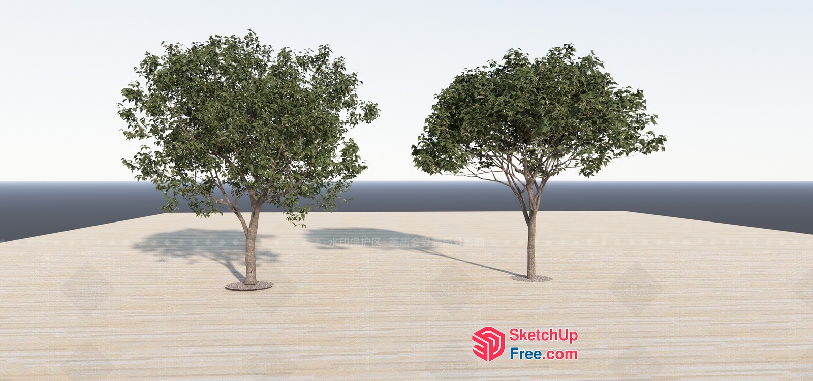 Two Trees Standing In A Flat, Empty Space 3D SketchUp File
