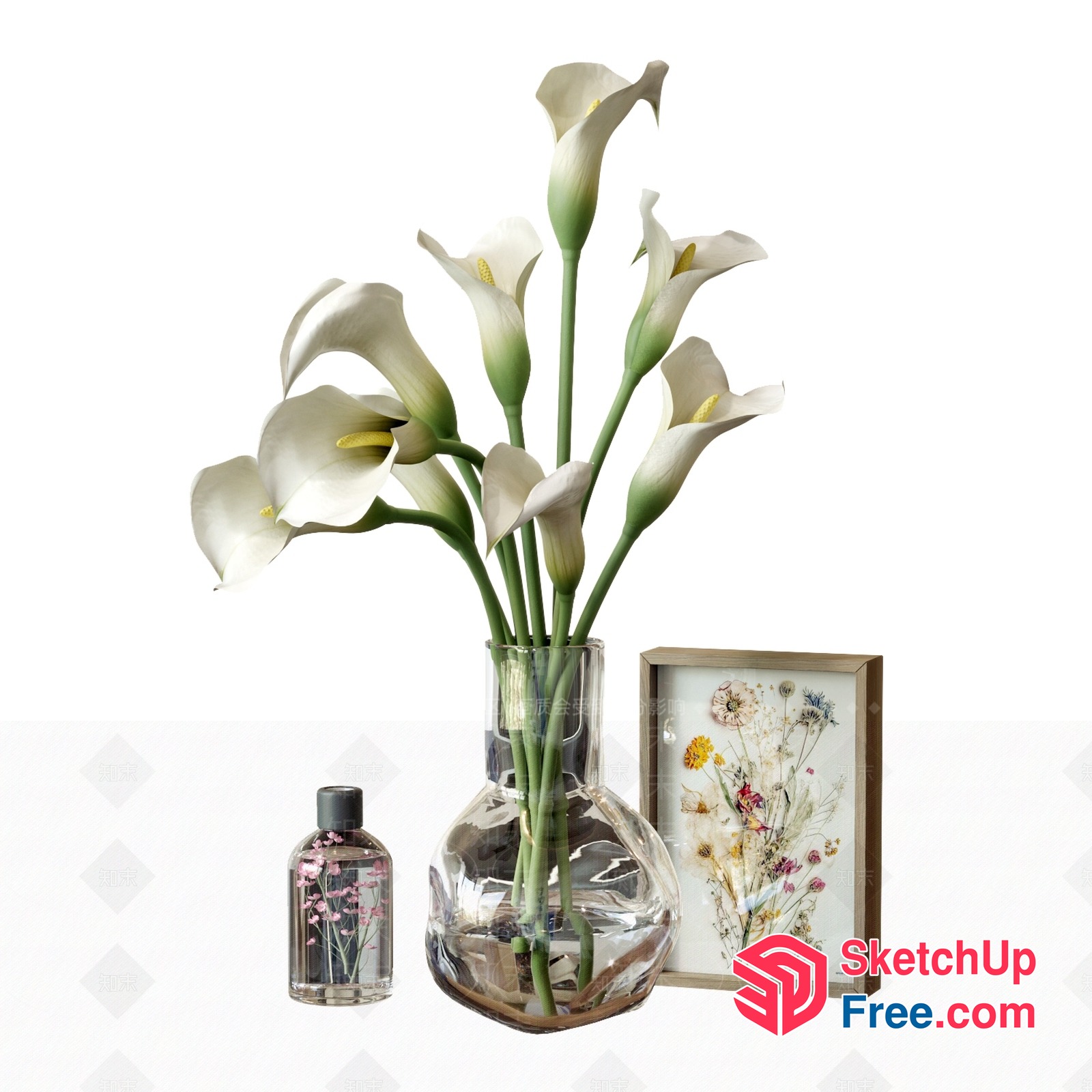 Elegant White Calla Lilies In Glass Vase 3D SketchUp File