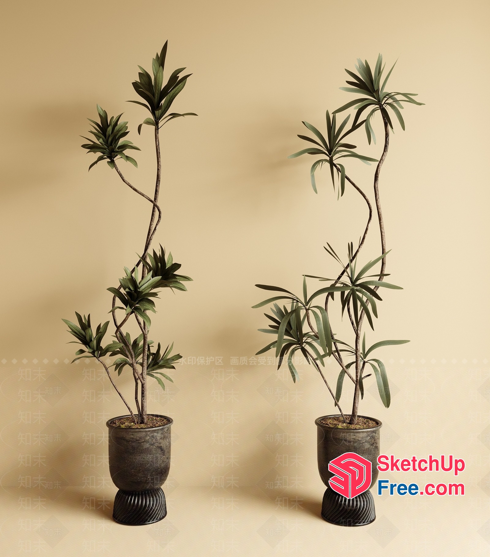Potted Plants With Decorative Pots And Greenery 3D SketchUp File