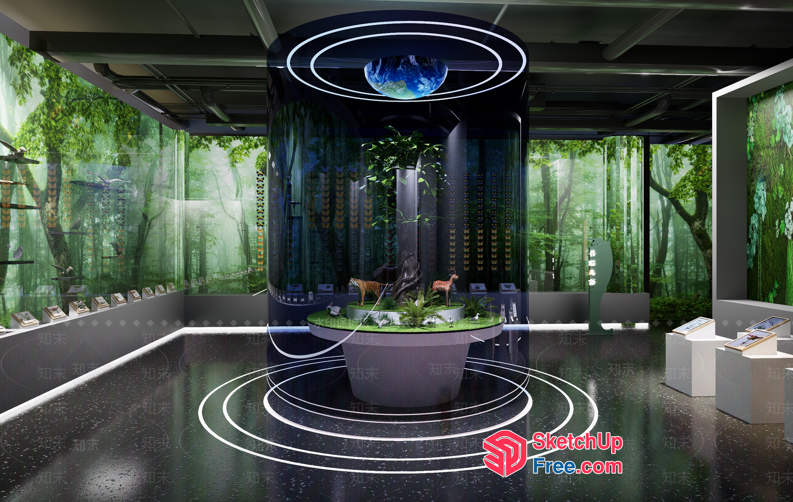 Modern Forest-Inspired Exhibit Space With Animal Dioramas 3D SketchUp File