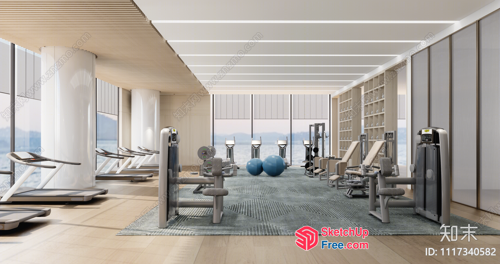 Modern Gym With Large Windows And Treadmills 3D SketchUp File