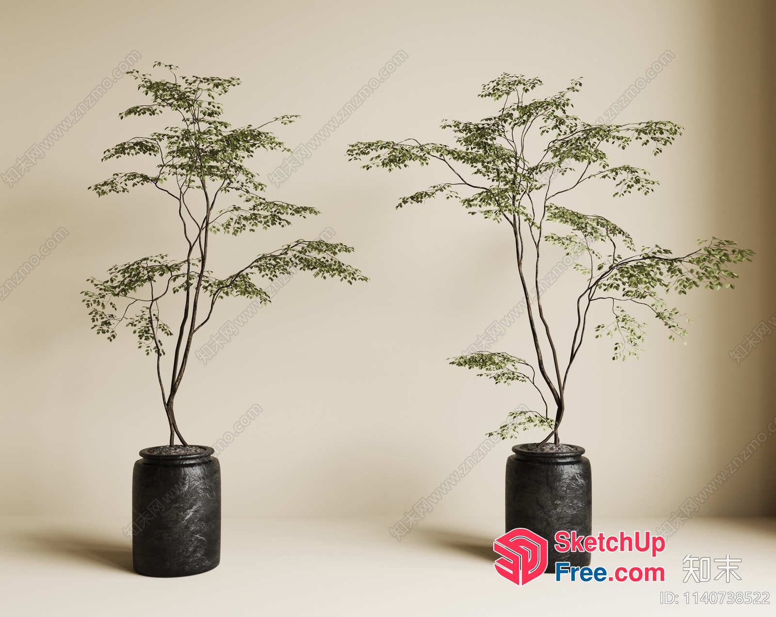 Two Potted Plants With Delicate Greenery 3D SketchUp File