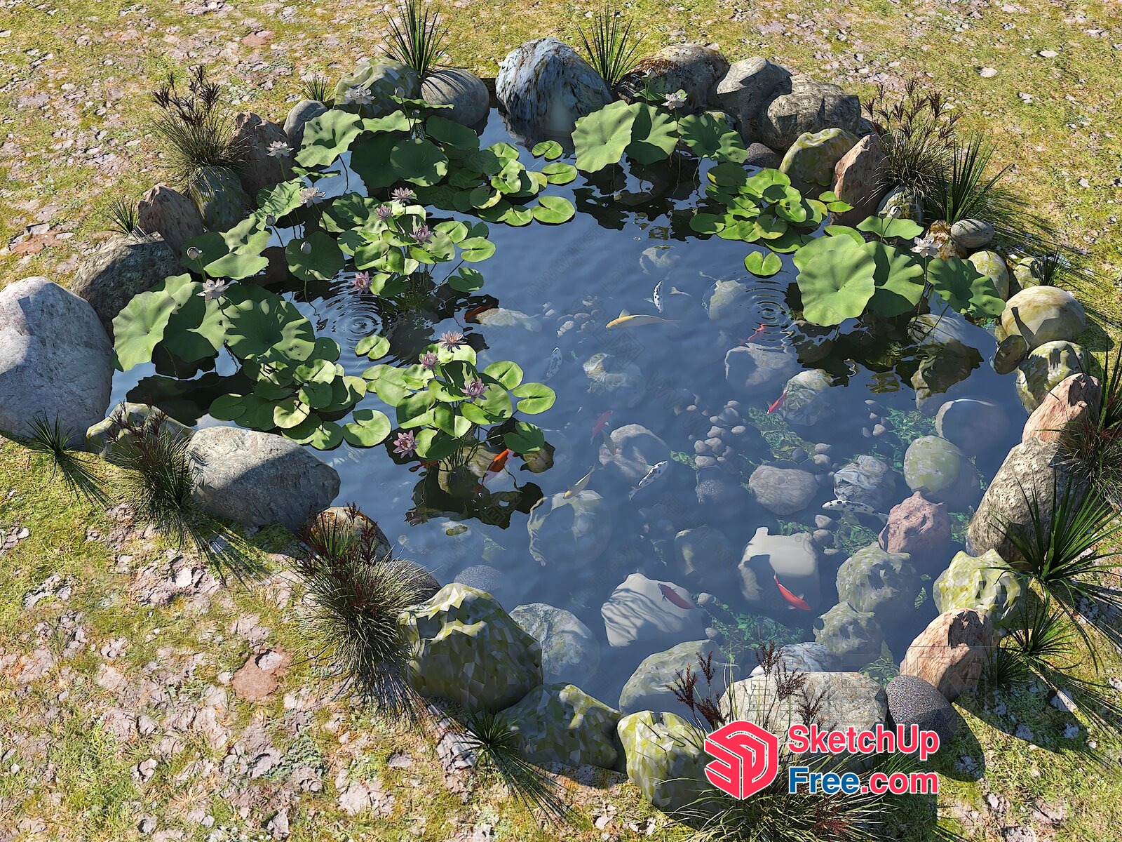 Serene Koi Pond With Lush Greenery And Natural Stones 3D SketchUp File