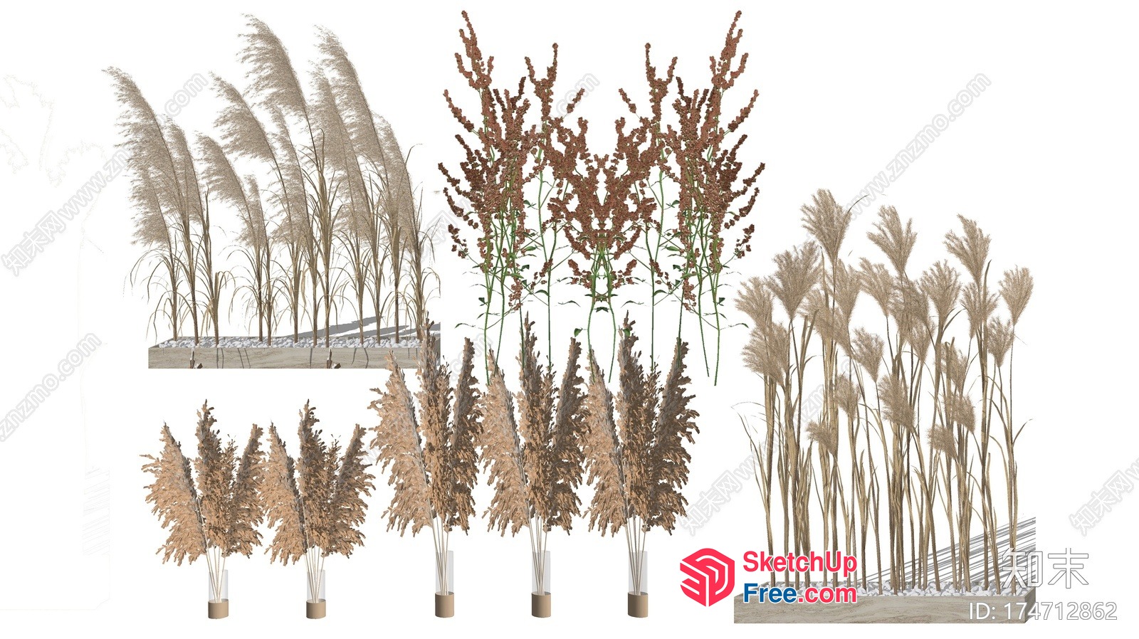 Decorative Grass Arrangement For Indoor And Outdoor Spaces 3D SketchUp File