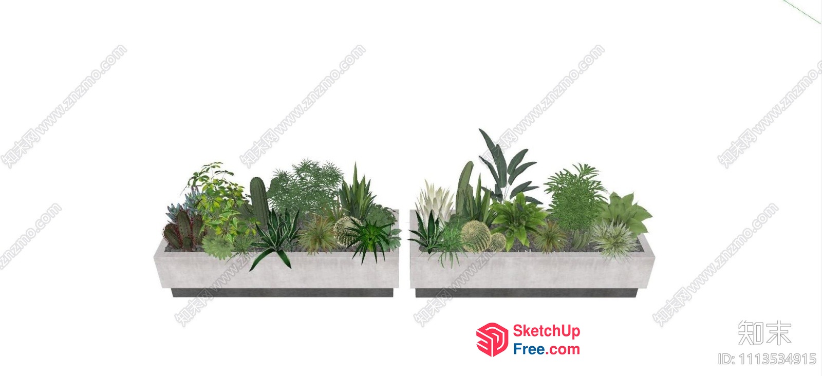 Succulent Planters On A White Background 3D SketchUp File