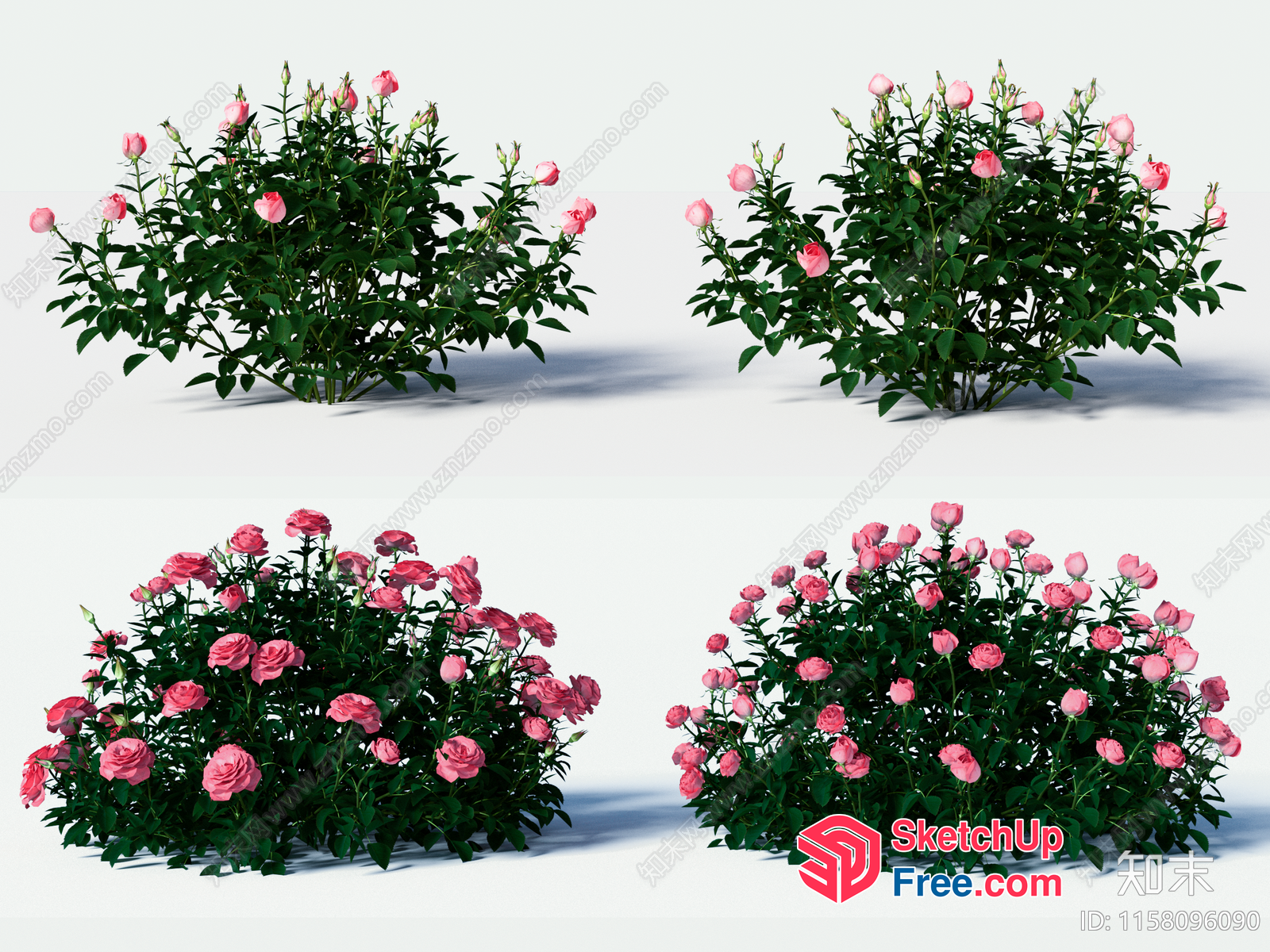 Beautiful Pink Flowers In A Garden 3D SketchUp File