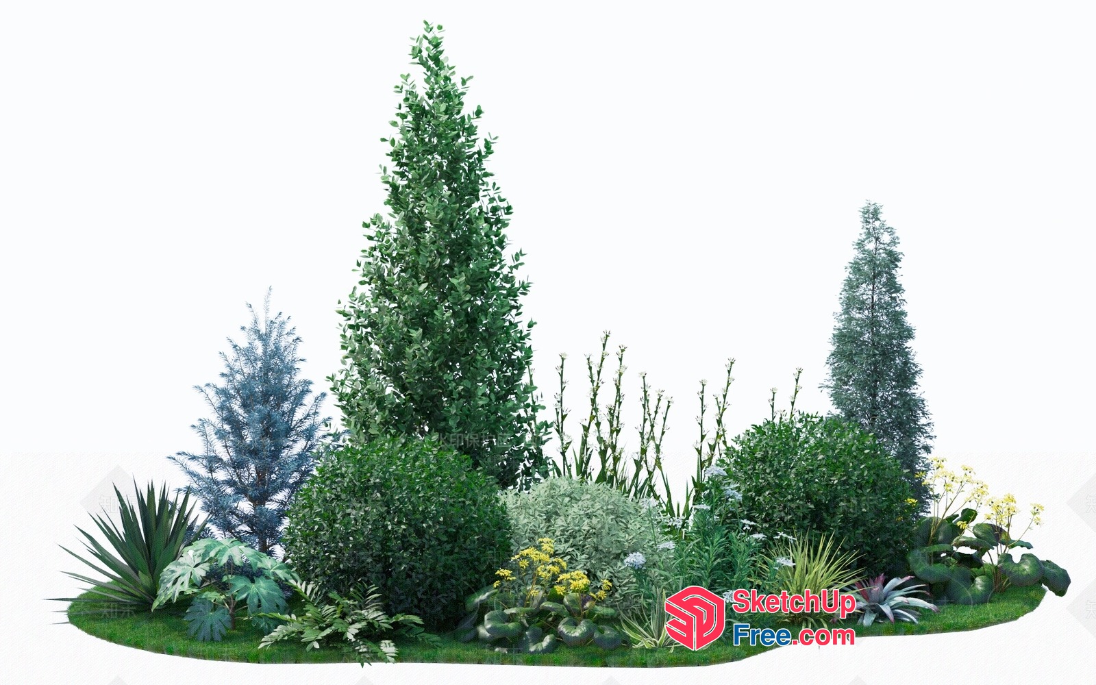 A Variety Of Trees And Plants 3D SketchUp File