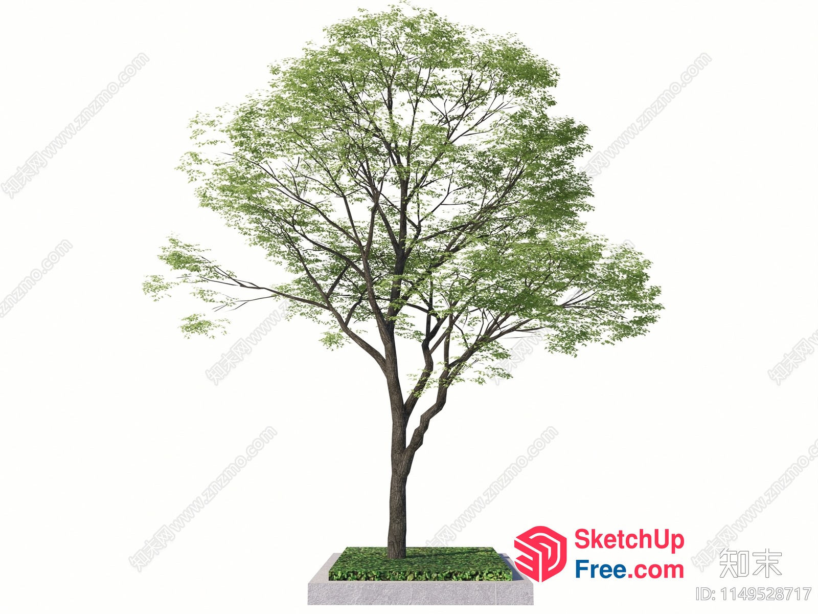 Single Tree In A Planter With Greenery 3D SketchUp File