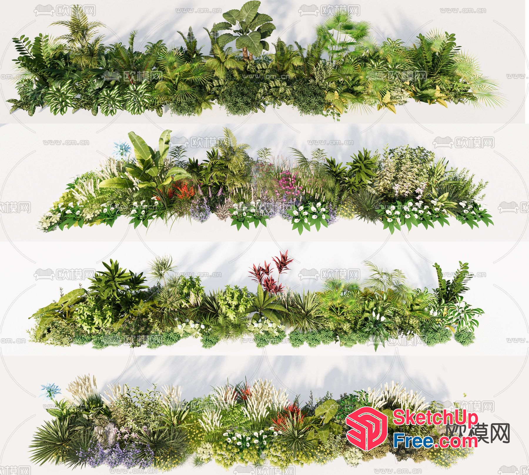 Exotic Tropical Plants Collection 3D SketchUp File