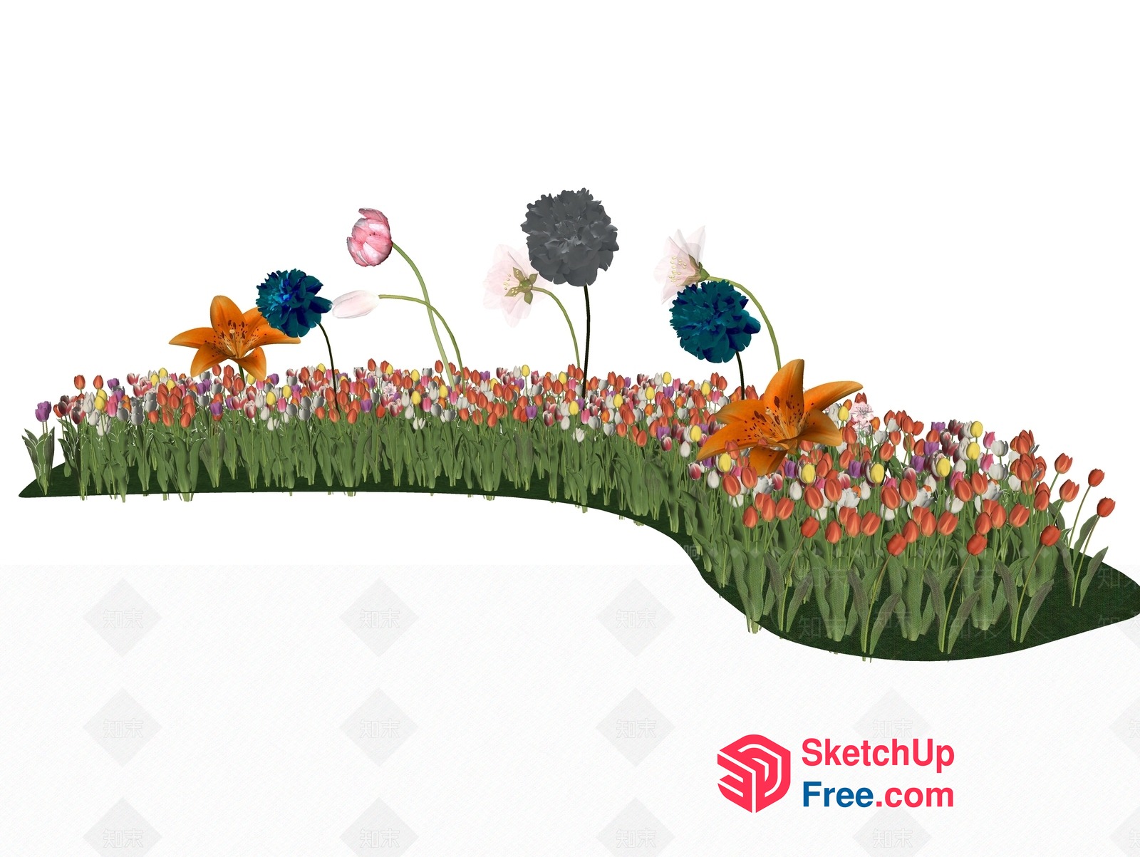 Colorful Flowers In A Field Of Tulips 3D SketchUp File