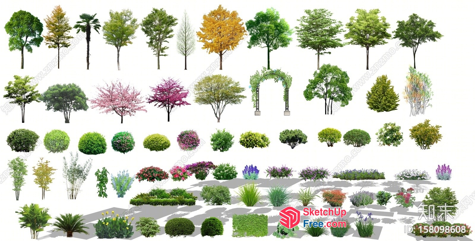 Various Trees And Plants 3D SketchUp File
