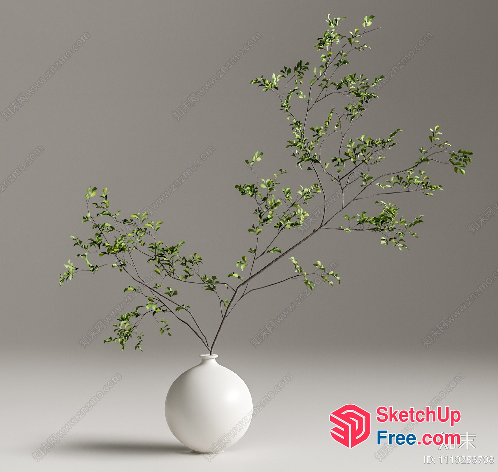 A Vase With A Branchy Plant 3D SketchUp File
