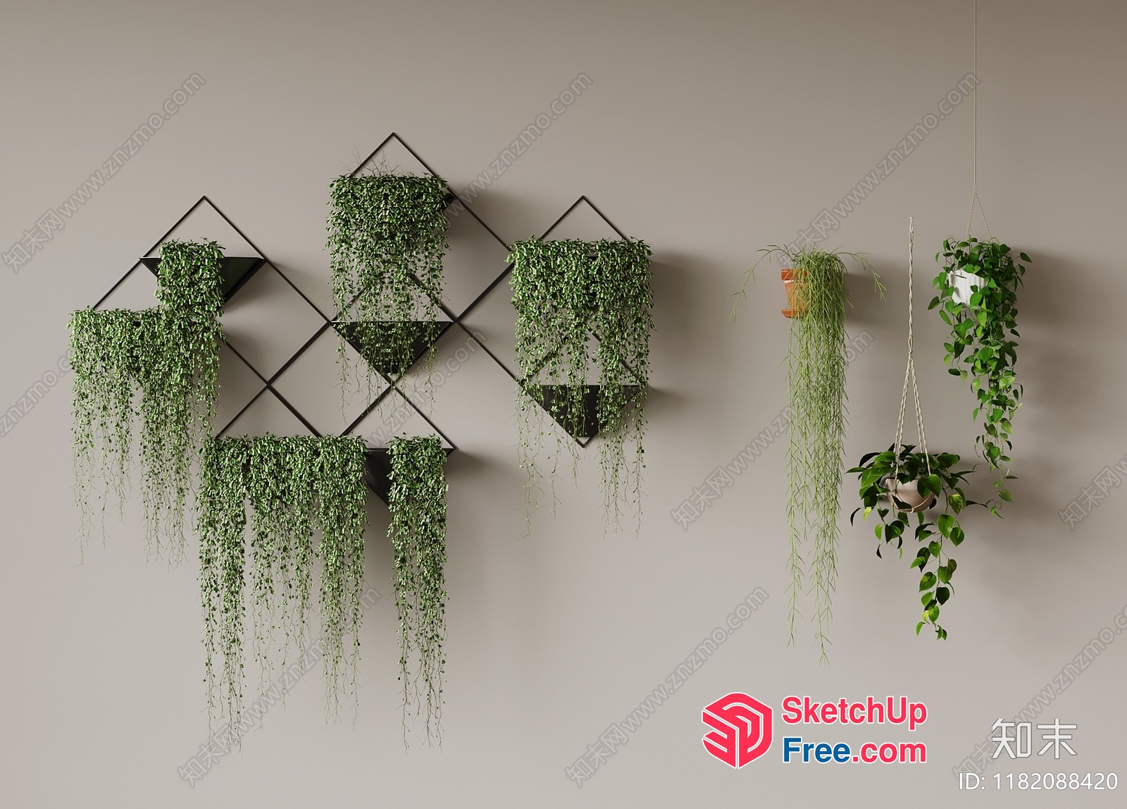 Hanging Plants On Modern Wall Decor 3D SketchUp File