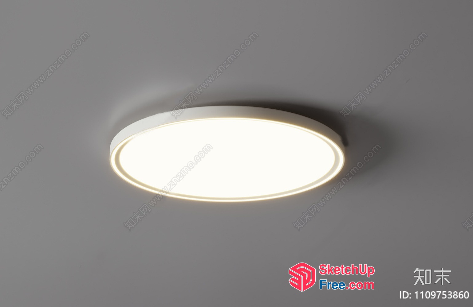 Oval Shaped Ceiling Light Fixture With White Trim 3D SketchUp File