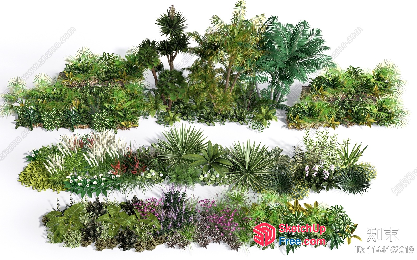 Exquisite Tropical Garden Arrangement 3D SketchUp File