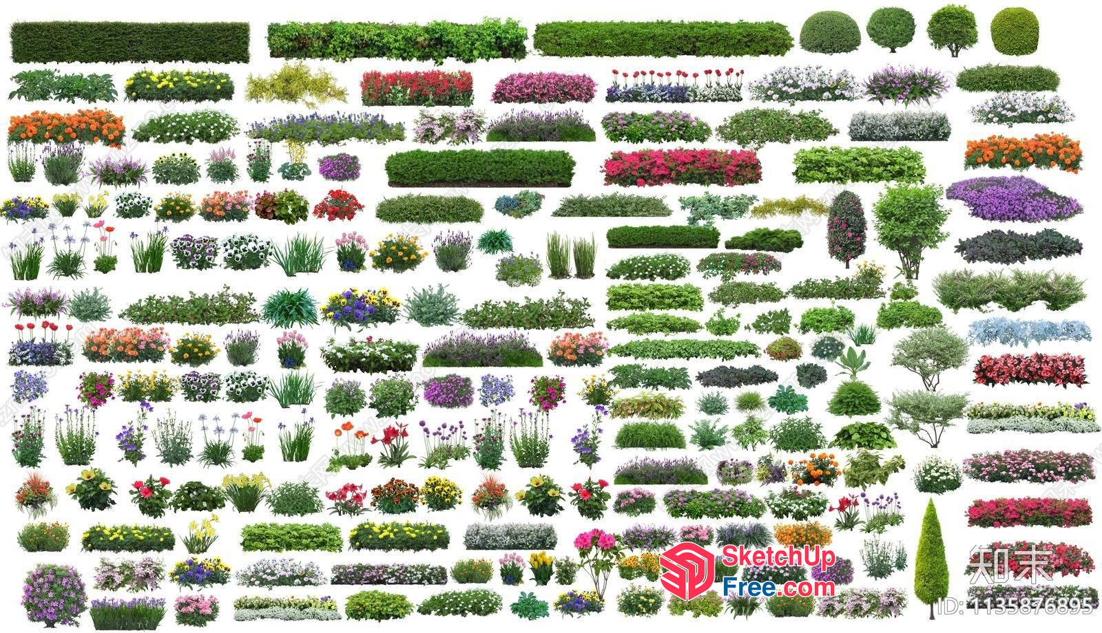 A Large Collection Of Various Plants 3D SketchUp File