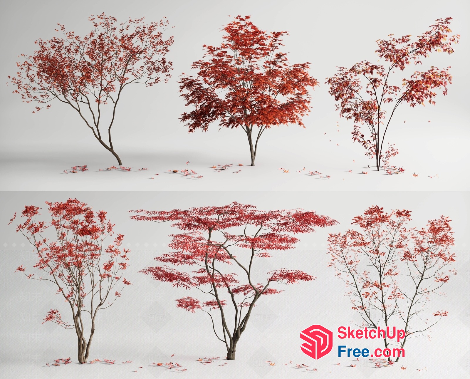 Autumnal Tree Collection 3D SketchUp File