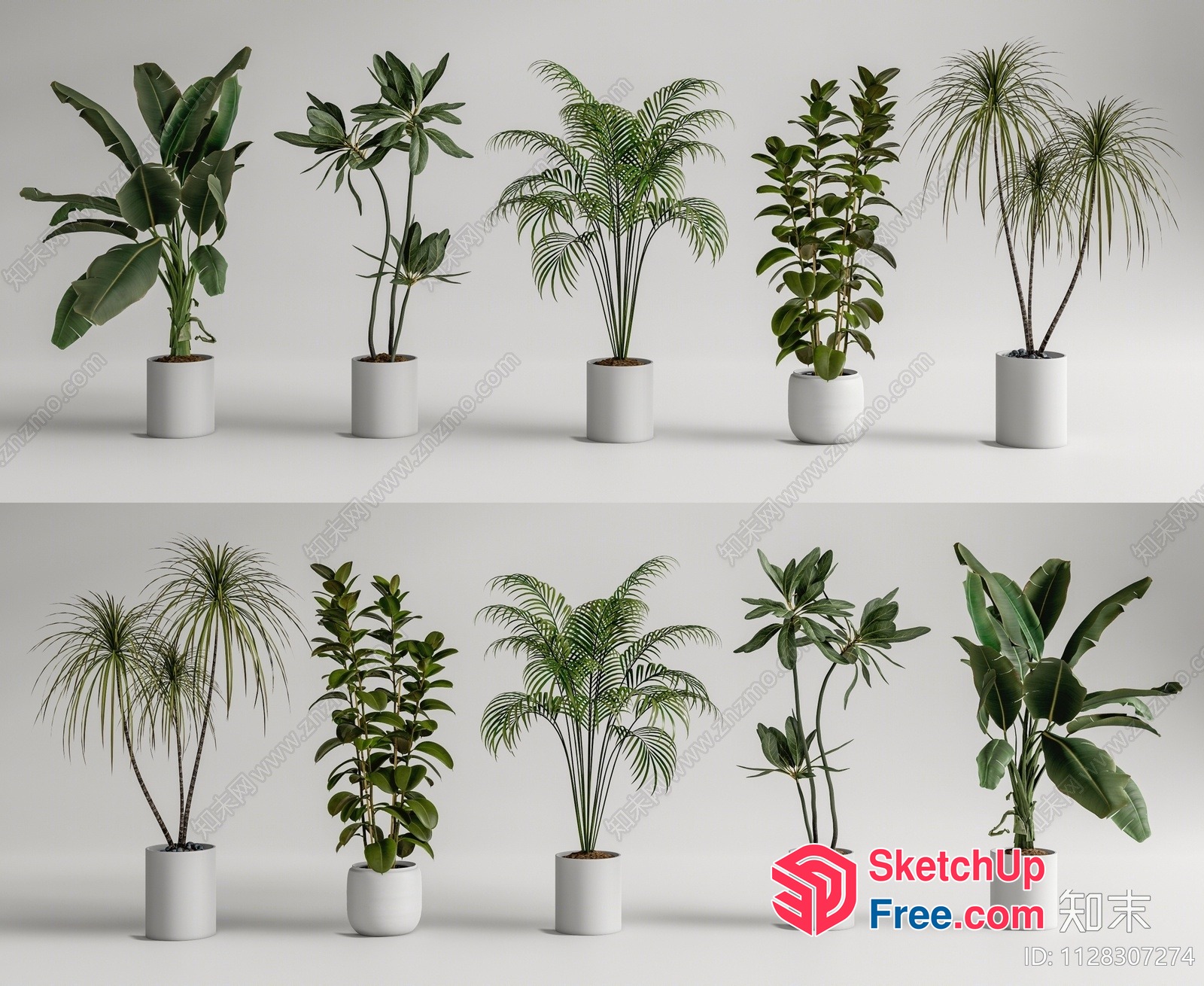 Tropical Plants In Pots 3D SketchUp File