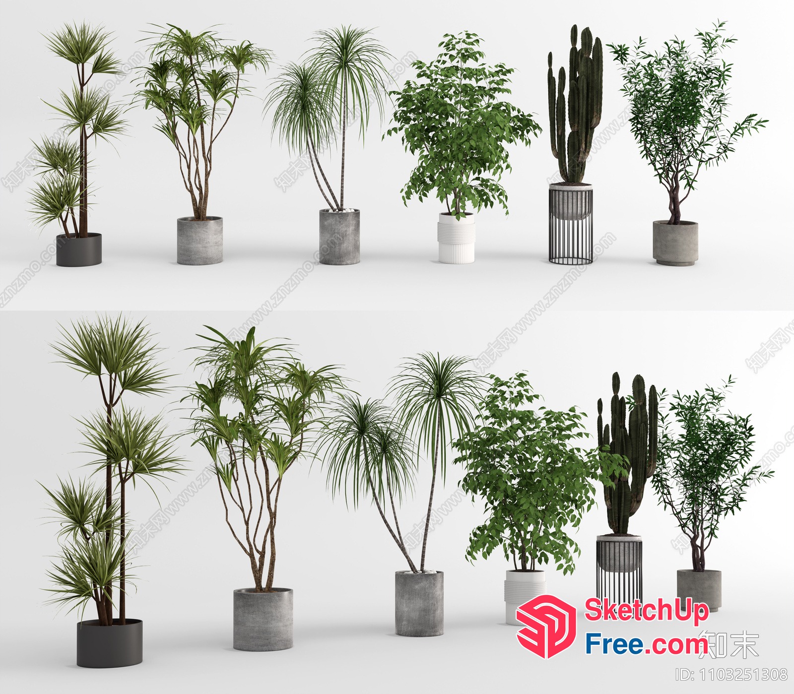 Potted Plants Collection 3D SketchUp File
