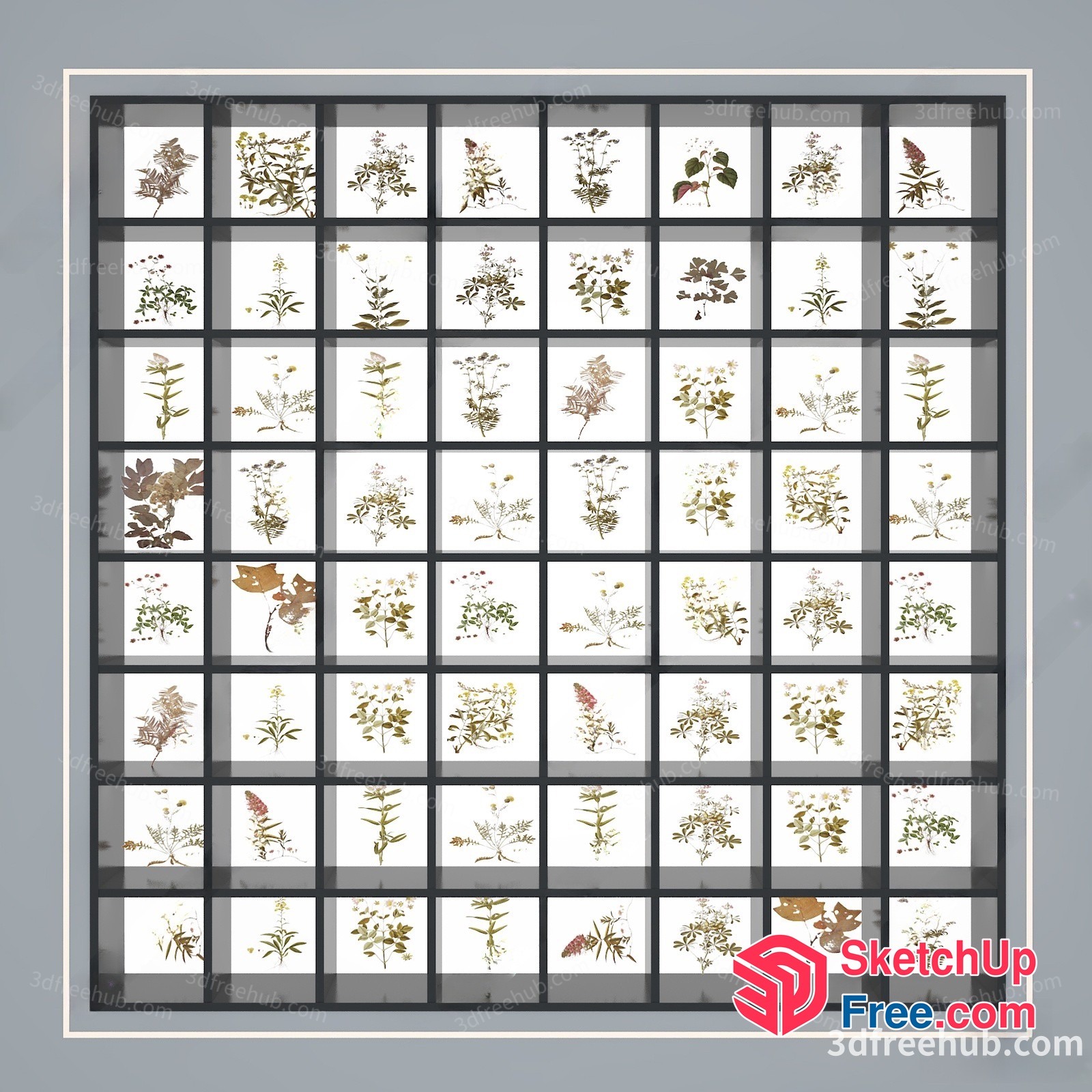 A Grid Of Various Plants 3D SketchUp File