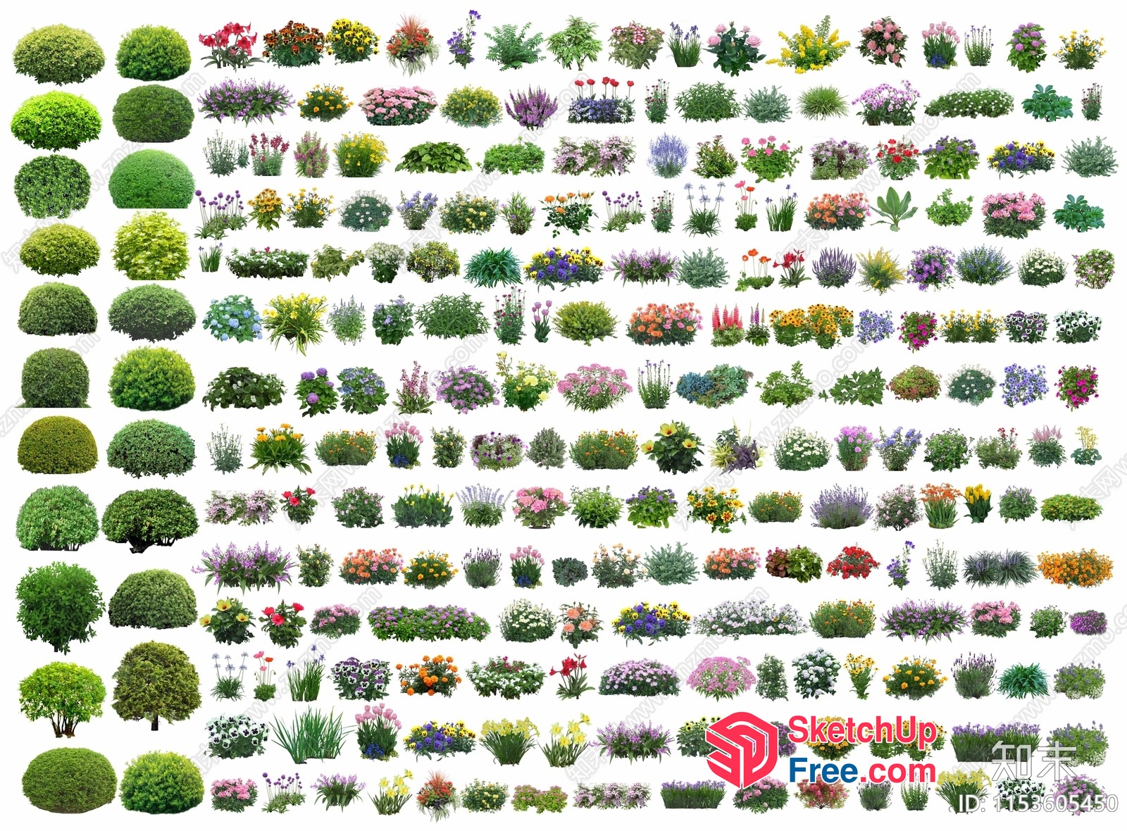 A Large Collection Of Various Plants And Flowers 3D SketchUp File