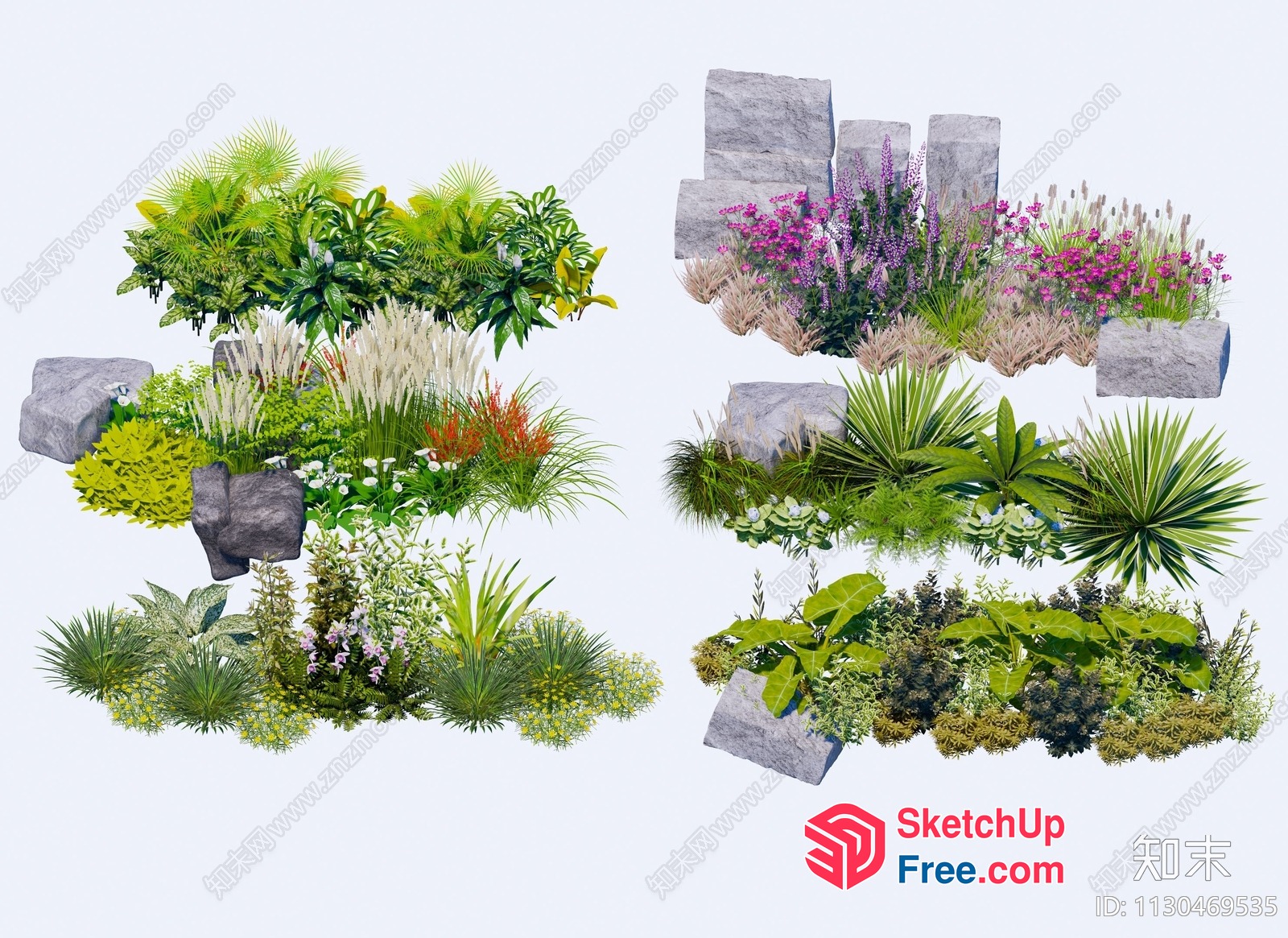 Exotic Plants In A Variety Of Styles And Colors 3D SketchUp File