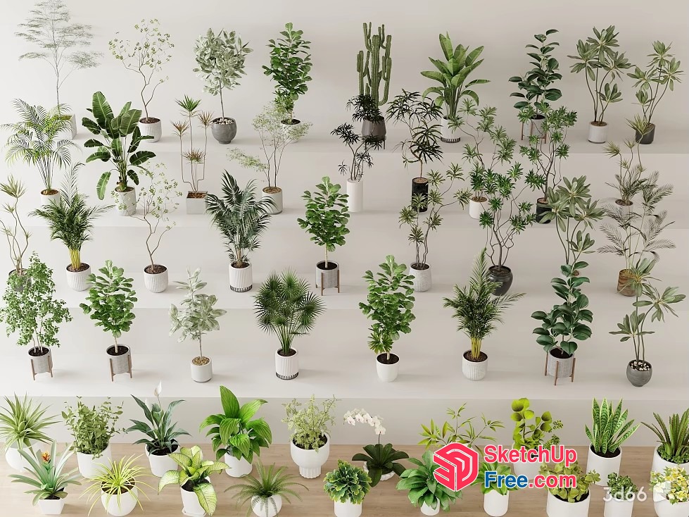 Potted Plants Display 3D SketchUp File