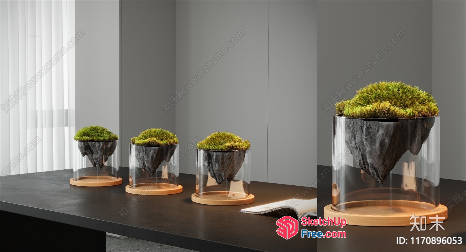 Minimalist Modern Glass Terrariums With Natural Greenery 3D SketchUp File