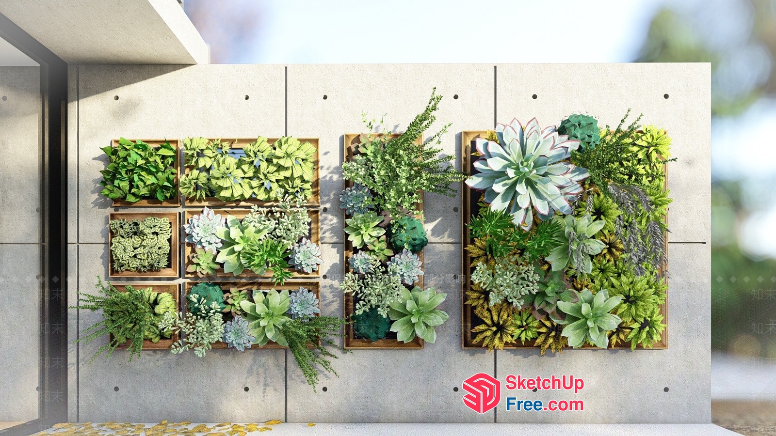 Modern Concrete Wall With Succulent Plant Arrangement 3D SketchUp File