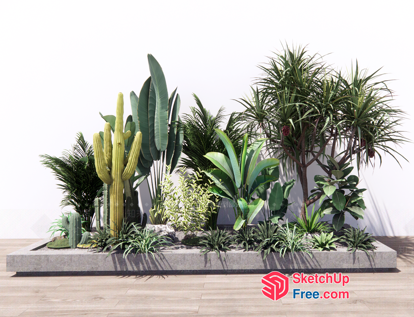 Exotic Plant Display In Concrete Planter 3D SketchUp File