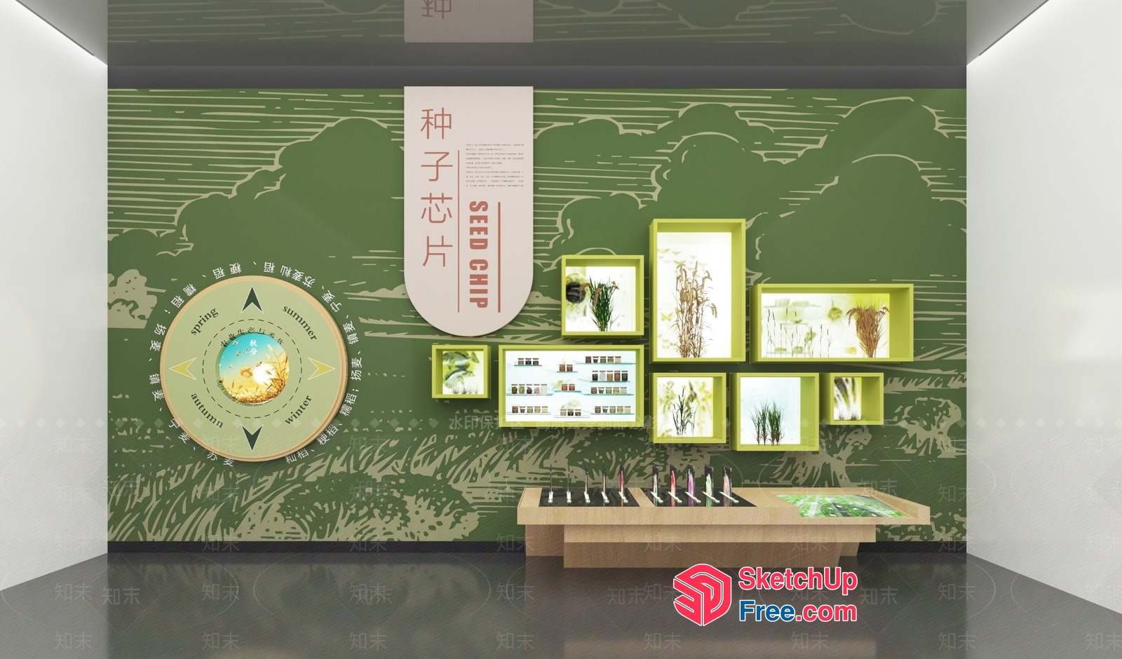 Seed Chip Display 3D SketchUp File