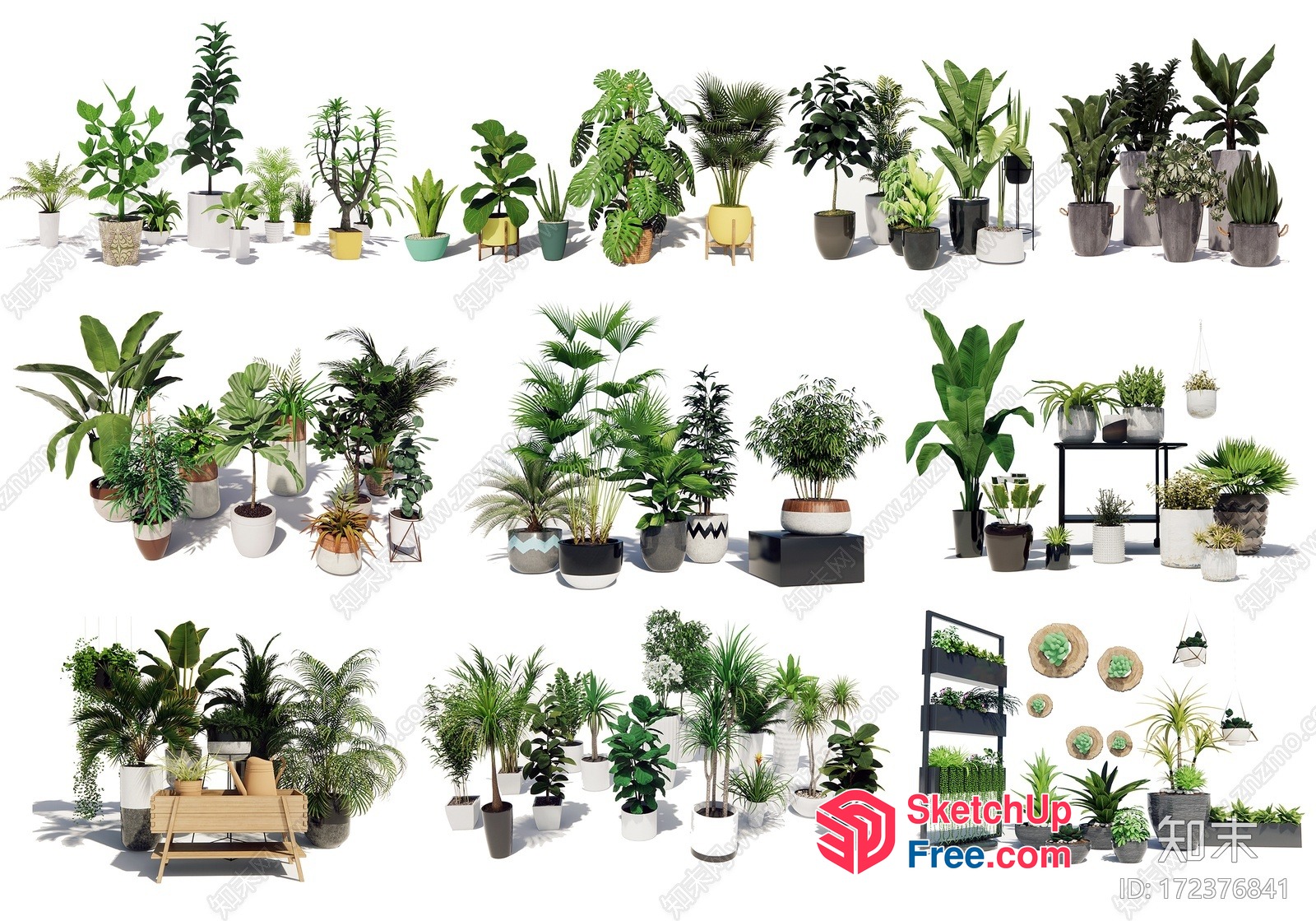 Various Potted Plants Arranged In A Decorative Manner 3D SketchUp File