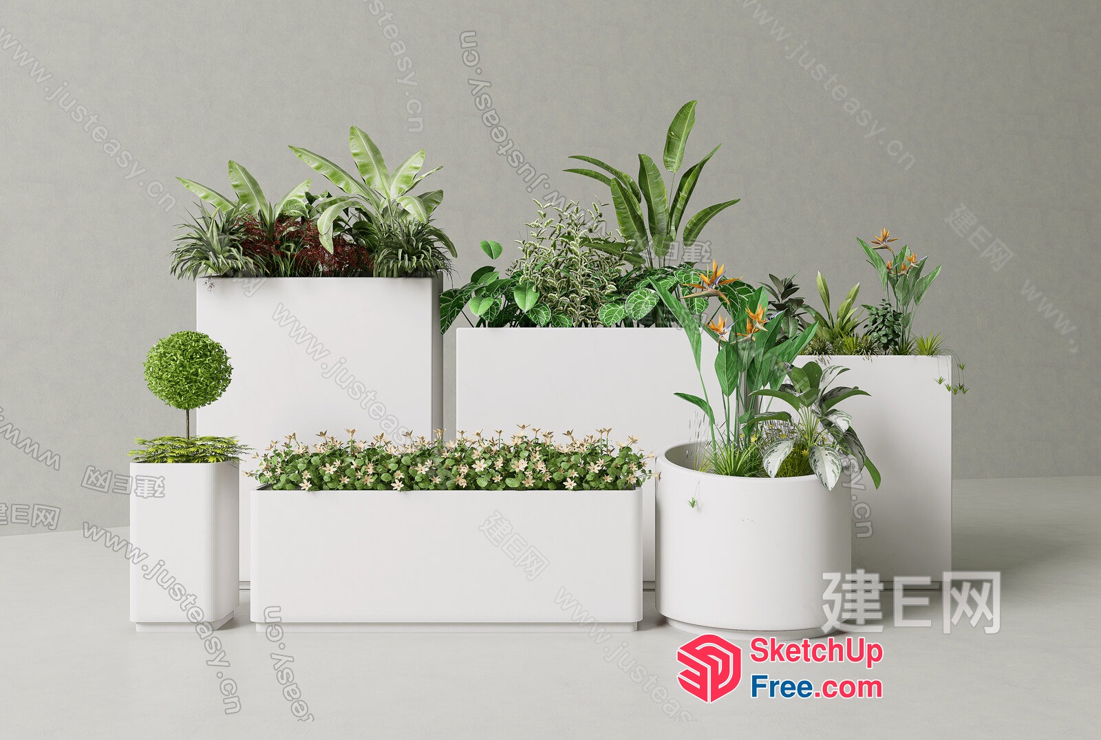 Modern White Planters With Various Greenery 3D SketchUp File