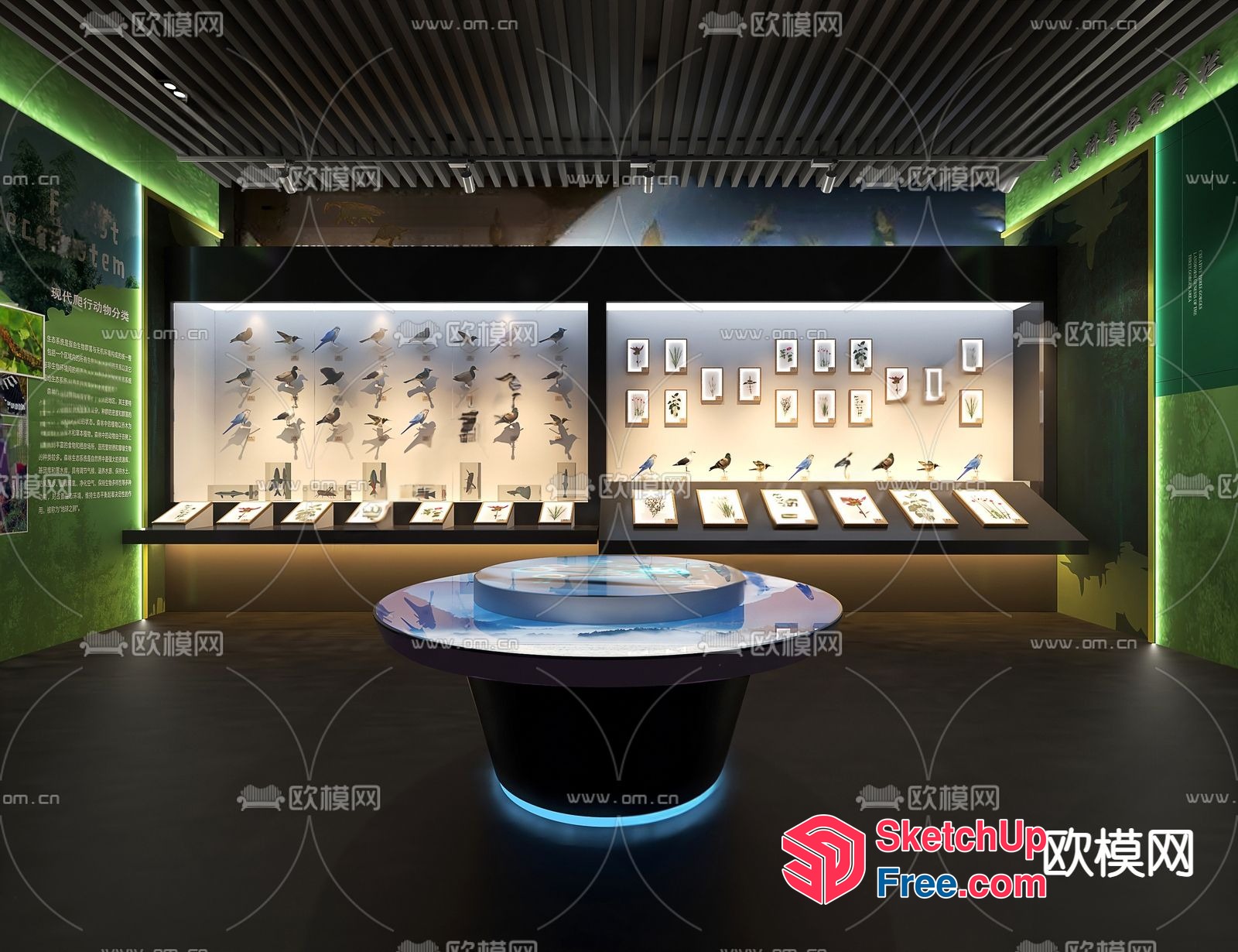 Modern Museum Exhibit With Interactive Display 3D SketchUp File