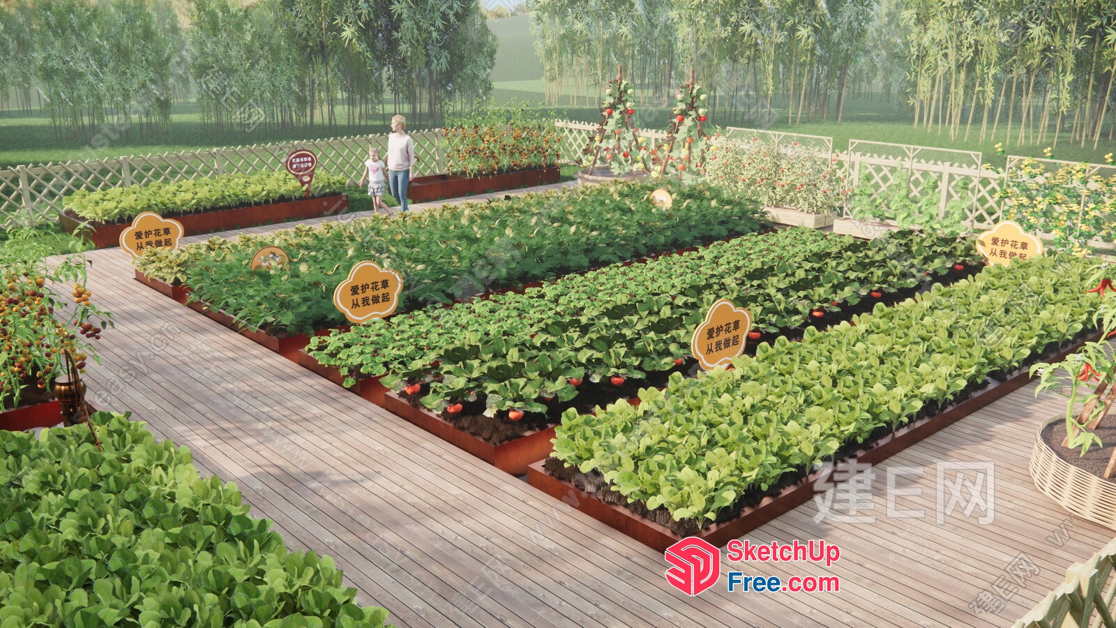 Serene Vegetable Garden 3D SketchUp File
