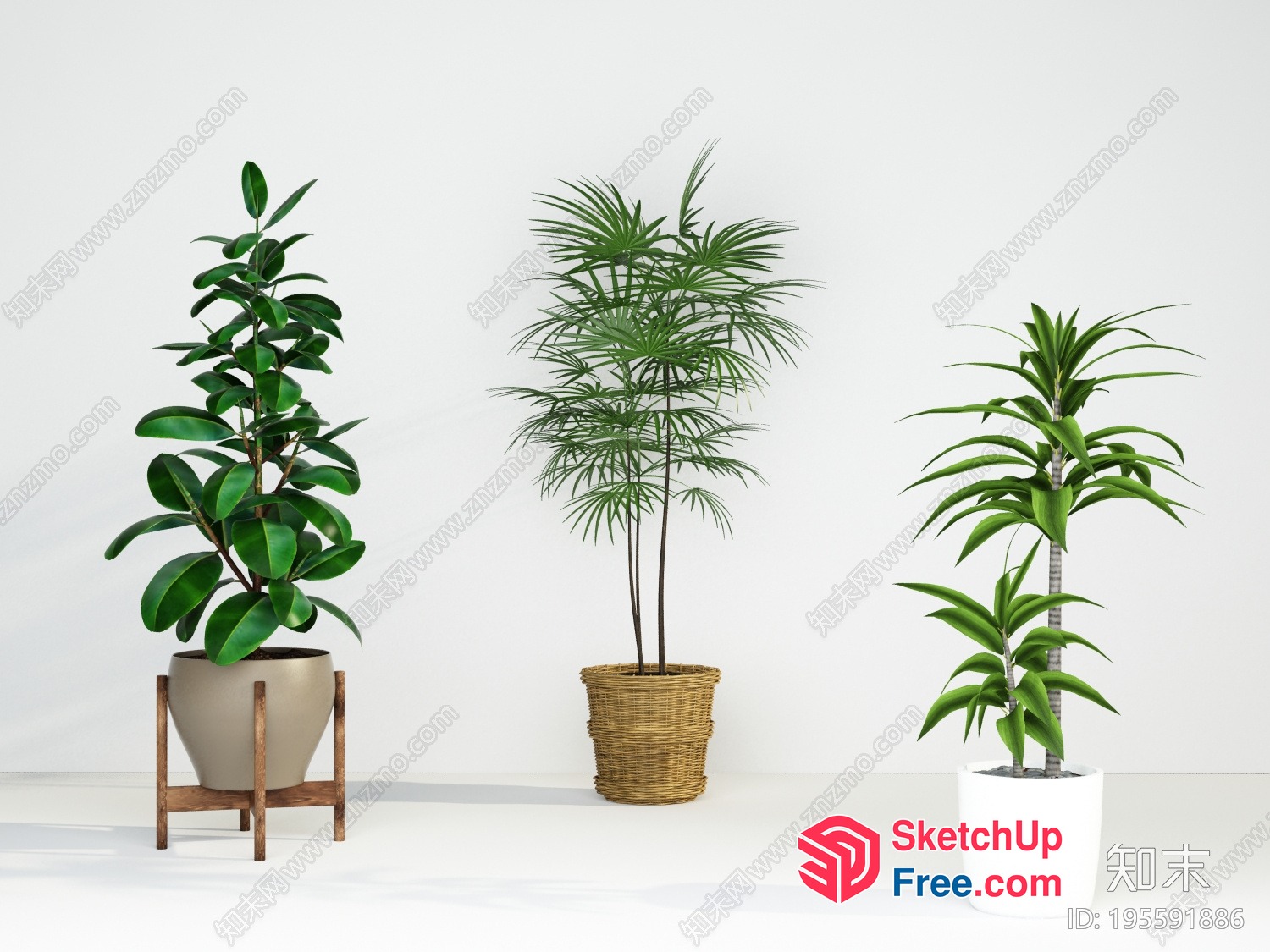 Three Potted Plants In A Clean Room 3D SketchUp File